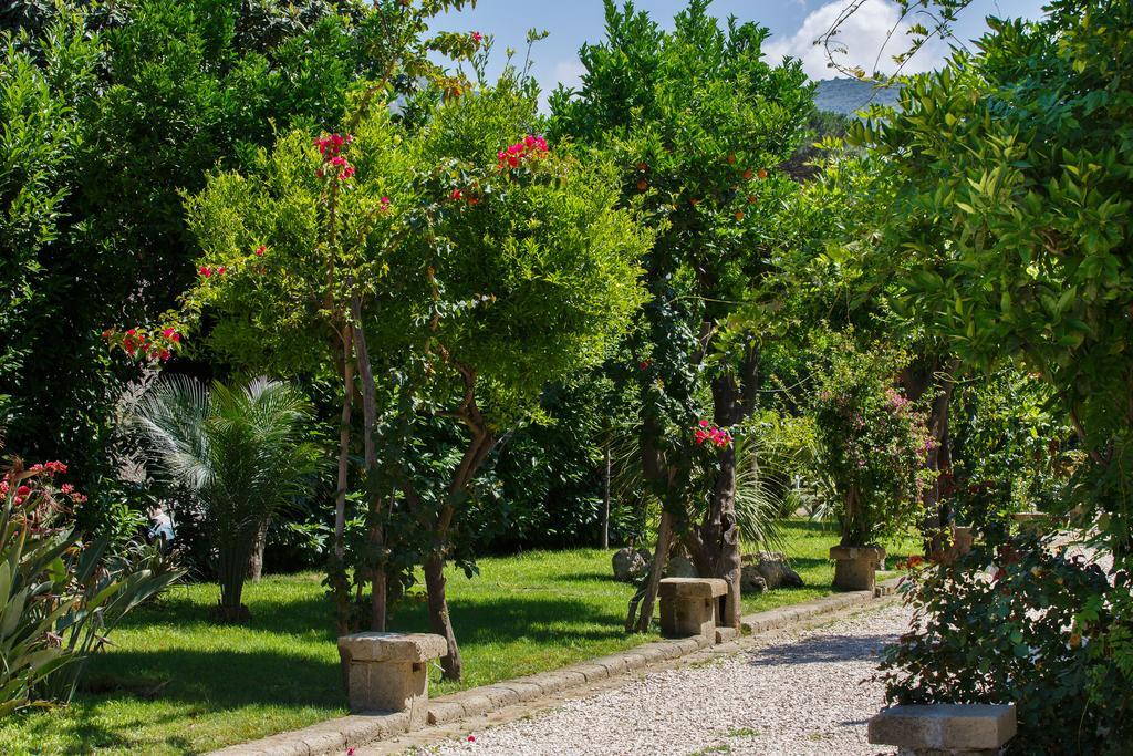Villa Don Camillo Sant'Agnello Exterior foto