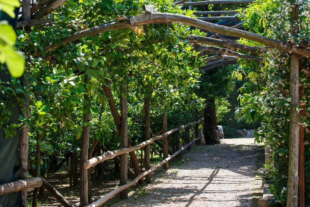 Villa Don Camillo Sant'Agnello Exterior foto