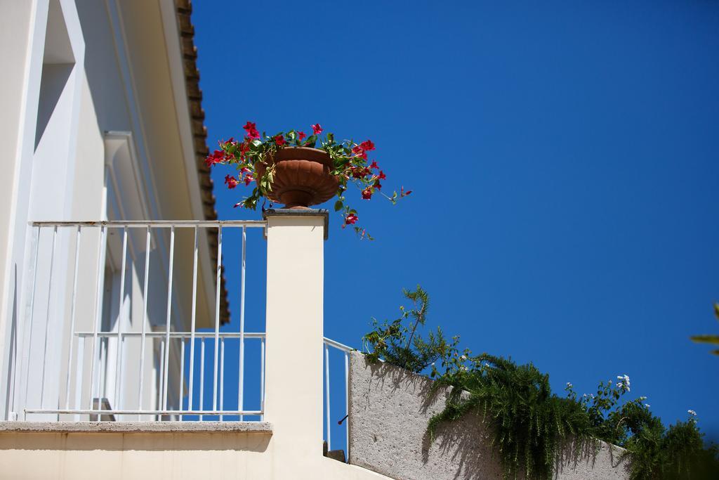 Villa Don Camillo Sant'Agnello Exterior foto